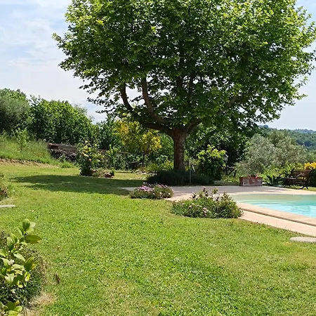 Penta Otricoli